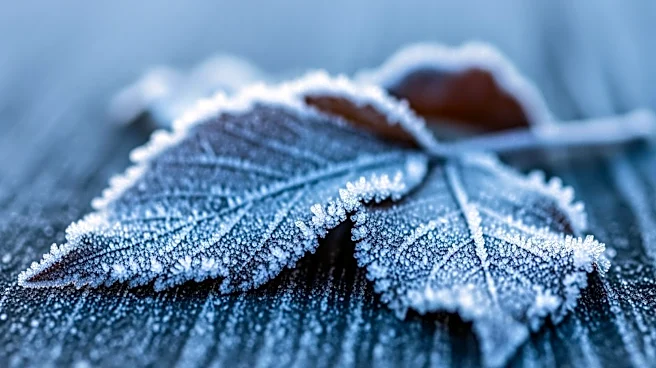 Philadelphia Region Faces Freeze Warnings Amid Cool Weather