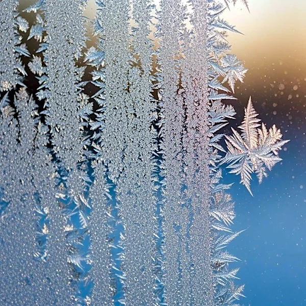 Maryland Braces for Frosty Weather Before Mid-Week Warm-Up