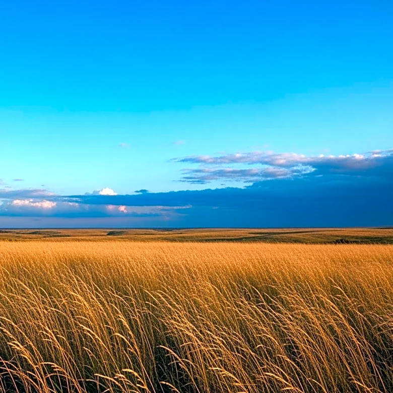 North Texas Weather Outlook: Warm and Dry Conditions Before Storms Return
