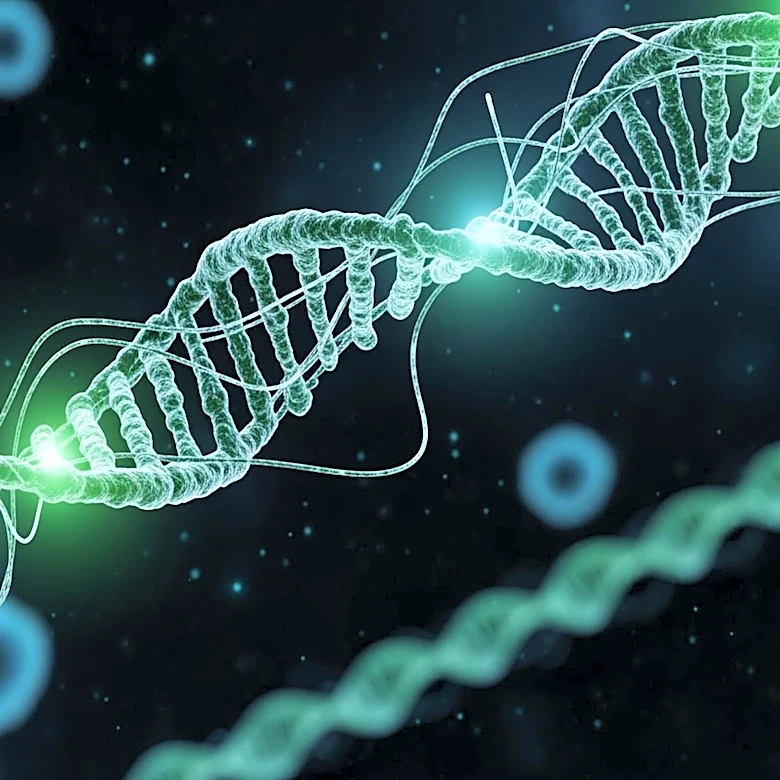CRISPR Activation Screens Reveal RNA-Based Mechanisms to Enhance Cancer Cell Sensitivity to T Cell Therapy