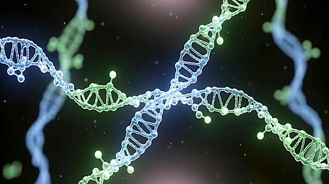 Research Identifies nNOS-mTOR Axis as Therapeutic Target in Neuroblastoma