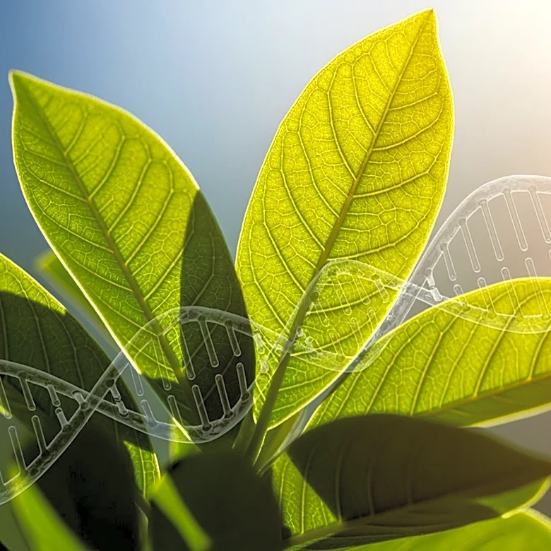 Study Finds Climate Change Accelerates Evolution Through Gene Regulation