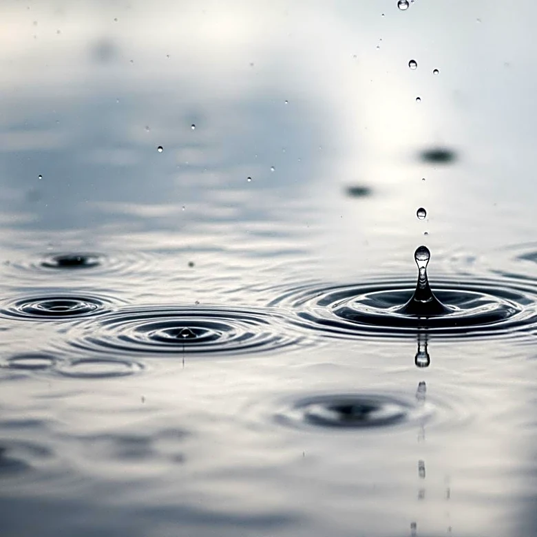 South Florida Faces Weather Alert as Slow-Moving Showers Persist