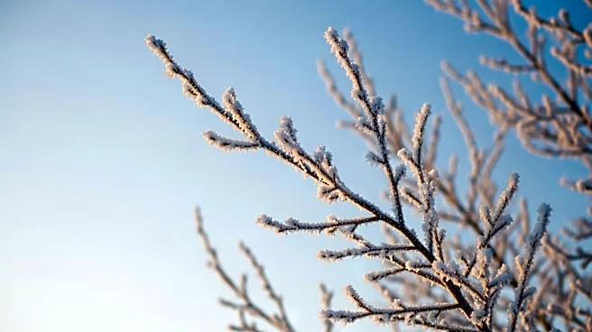 Freeze Warning Issued for Philadelphia Region Amid Cold Snap