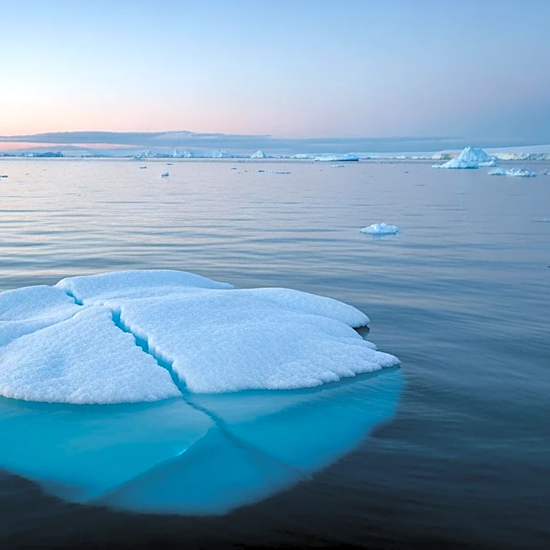 Climate Change Drives Emperor Penguins and Antarctic Fur Seals to Endangered Status