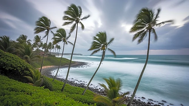 South Florida Faces Wind Advisory Due to Strong Gusts, Impacting Coastal Conditions