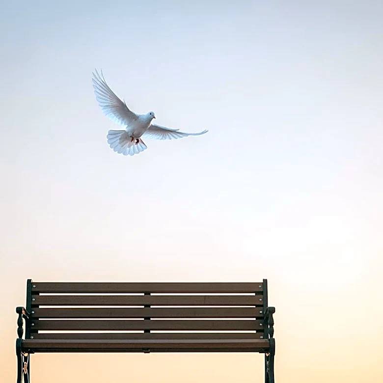 Support Grows for Soldier's Wife Released from Detention