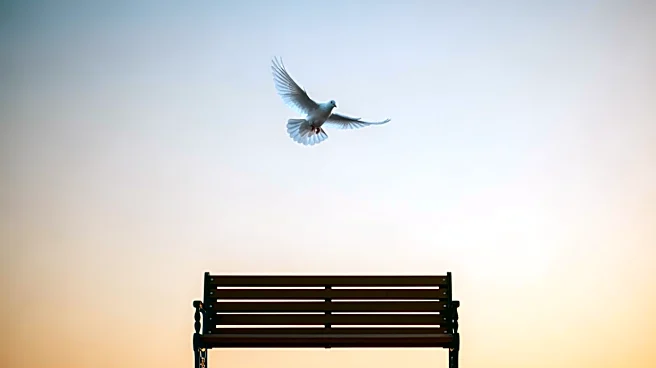 Support Grows for Soldier's Wife Released from Detention