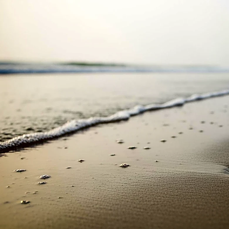 Family of Gilgo Beach Murder Victim Speaks After Killer Pleads Guilty