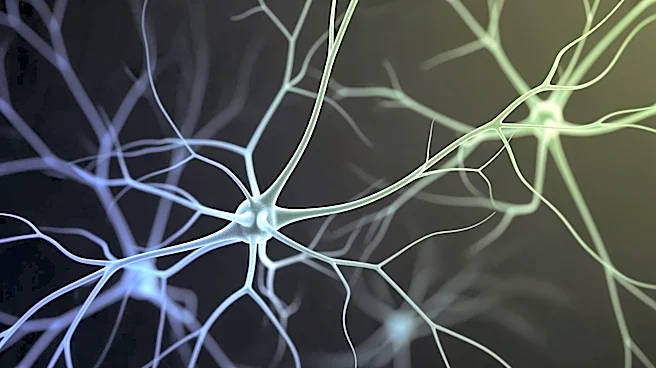 Scripps Research Unveils New Insights into Touch Sensation Mechanisms