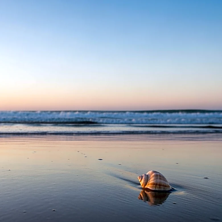 2026 Atlantic Hurricane Season Predicted to Be Below Normal