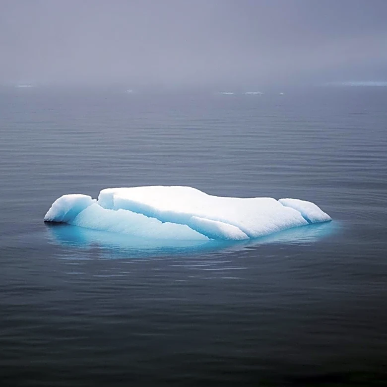 International Union for Conservation of Nature Declares Emperor Penguins and Antarctic Fur Seals Endangered Due to Climate Change