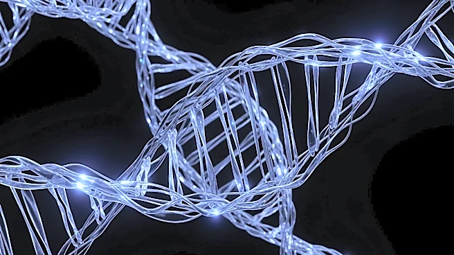 Long Non-Coding RNA Identified as Potential Cancer Therapeutic Target