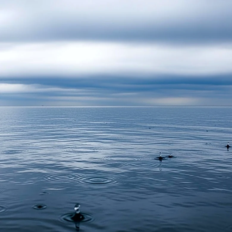 Bay Area Weather Forecast: Clouds and Showers Expected