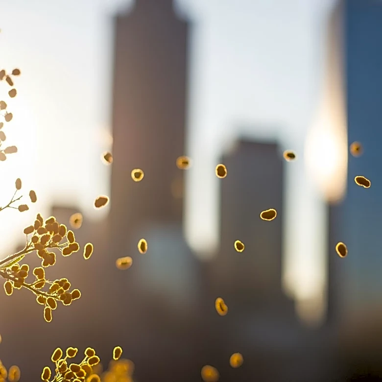 New York City Faces Seasonal Allergy Challenges as Pollen Levels Rise