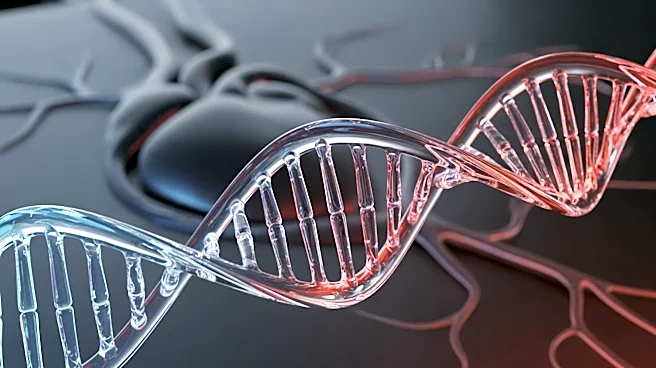 Gene Therapy Collection Aims to Address Cardiac and Vascular Disease