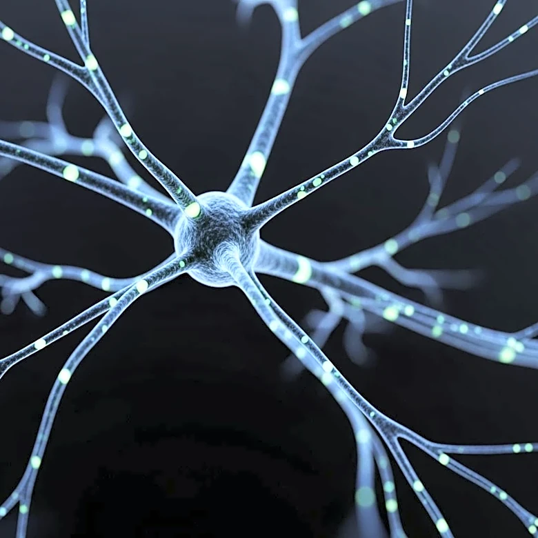 Scripps Research Unveils New Insights into How the Body Processes Touch