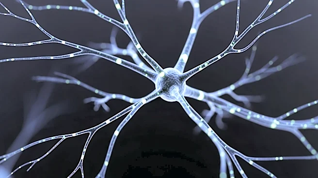 Scripps Research Unveils New Insights into How the Body Processes Touch