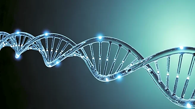 Genetic Study Reveals Variability in GLP-1 Drug Efficacy and Side Effects