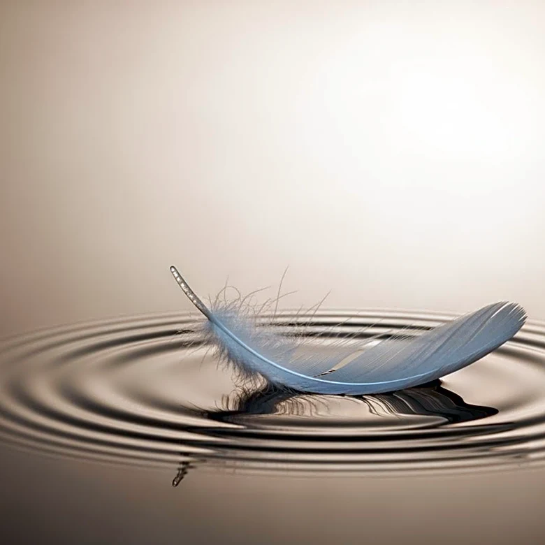 Emilie Kiser Discusses Forgiveness and Healing After Son's Tragic Death