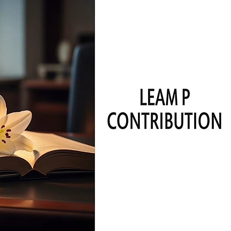 Noreen Donovan's Legacy in Business and Community Remembered in Obituary