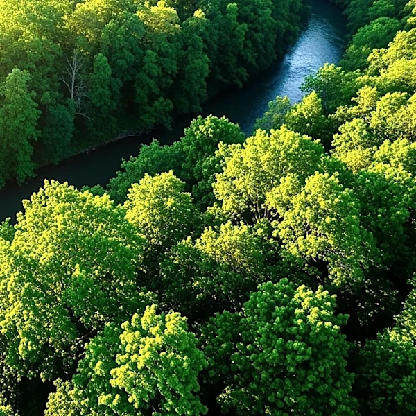 WalletHub Study Ranks New York Among Greenest States in the U.S.