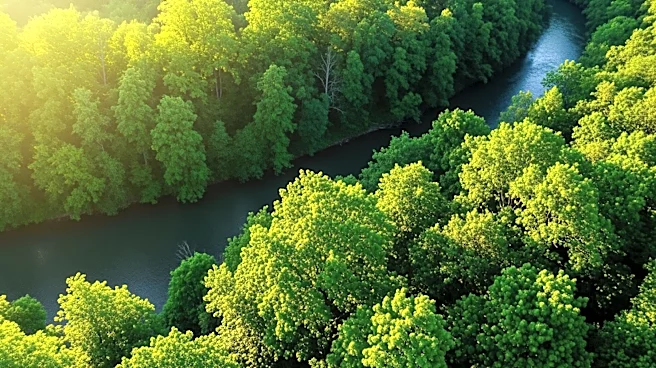 WalletHub Study Ranks New York Among Greenest States in the U.S.