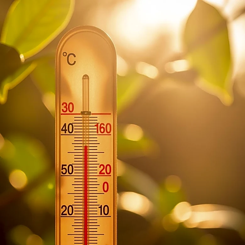 Maryland to Experience High Temperatures Next Week, Reaching High 80s