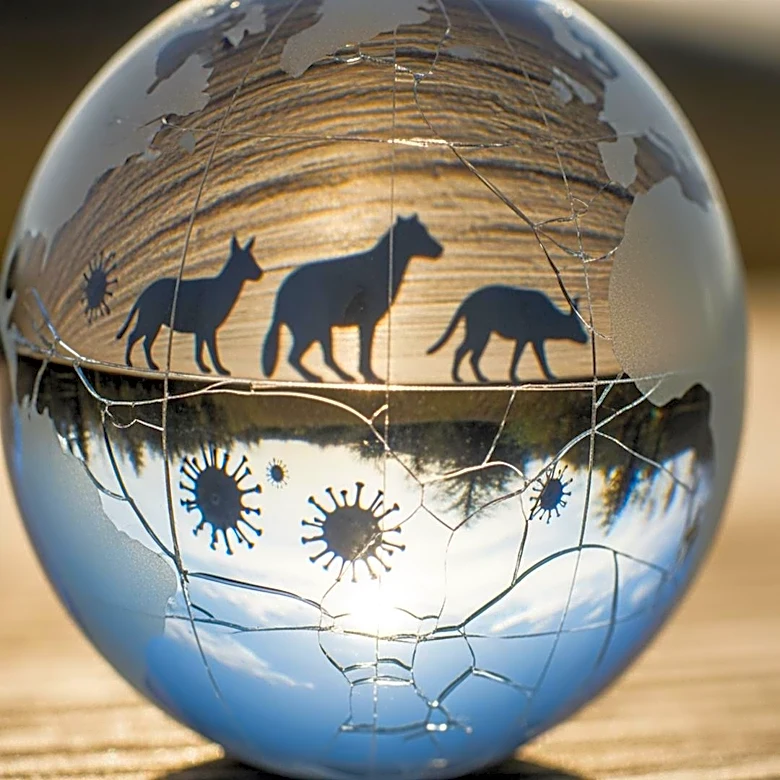 Study Highlights Wildlife Trade as Significant Risk for Human Disease Transmission