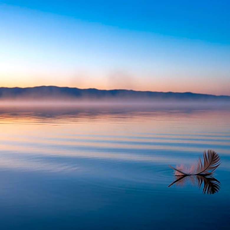 Study Reveals Impact of Salton Sea Proximity on Children's Lung Function
