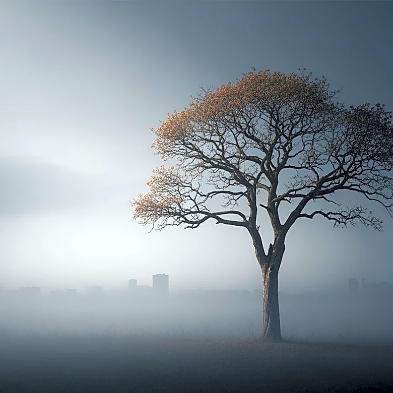 Rising Lung Cancer Cases Among Young Nonsmokers Linked to Pollution