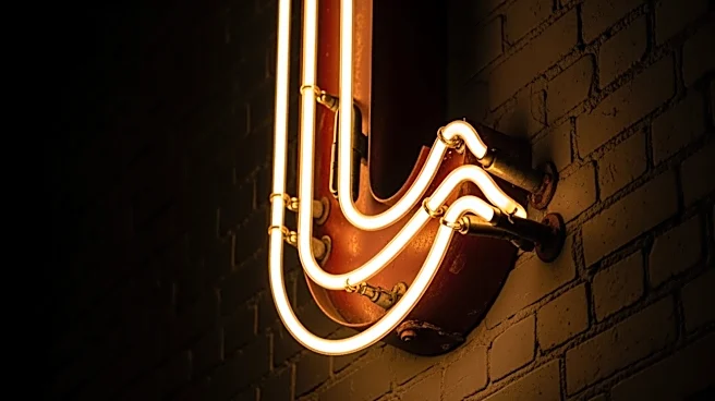 Chicago Sign Museum Advocates for Preservation of Historic City Signs Amid Extinction Threat