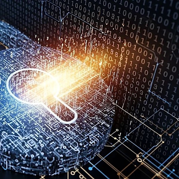 Federal Appeals Court Allows DOGE Access to Social Security Data Amid Privacy Concerns