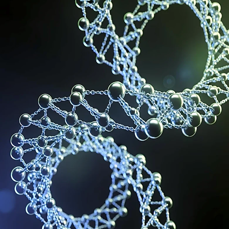 Researchers Unveil Unique Assembly of Bornavirus Nucleoprotein-RNA Complex