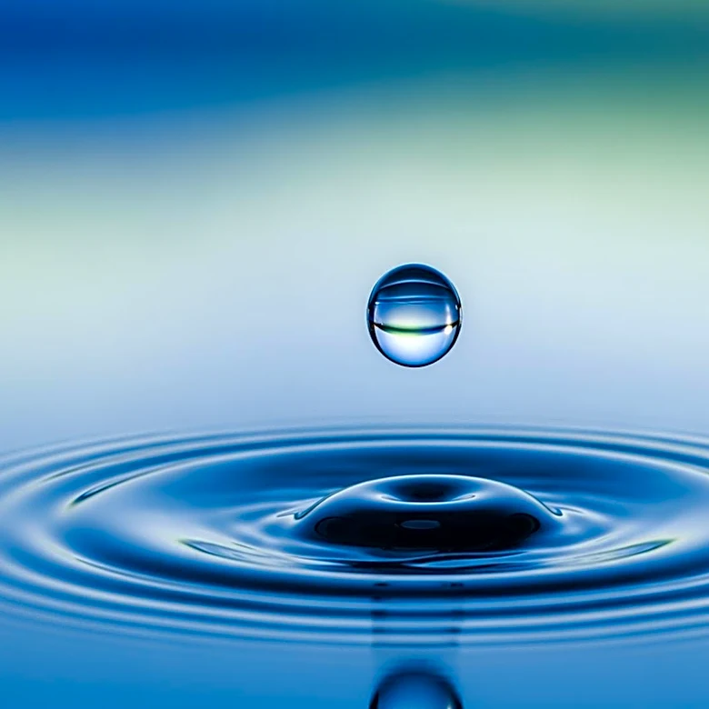 University of Florida Hosts Carter Conference to Address Water Issues Across Africa