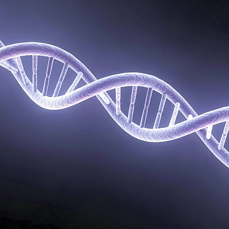 Verastem Oncology Reports Positive Two-Year Follow-Up Data on Combination Therapy for Ovarian Cancer