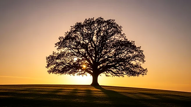 Former U.S. Representative Eliot Engel Passes Away at 79