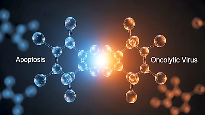 Apoptotic Modulators Enhance Oncolytic Virus Efficacy in Acute Myeloid Leukemia