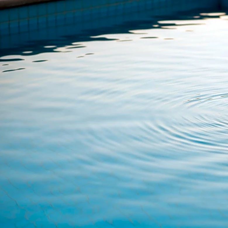 Pawter in the Water Initiative Aims to Prevent Child Drownings Through Education