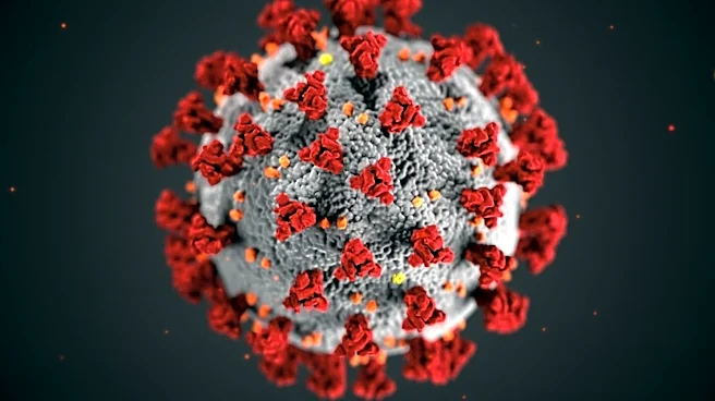 Scientists Uncover Molecular Mechanism Behind Rare COVID Vaccine Blood Clots