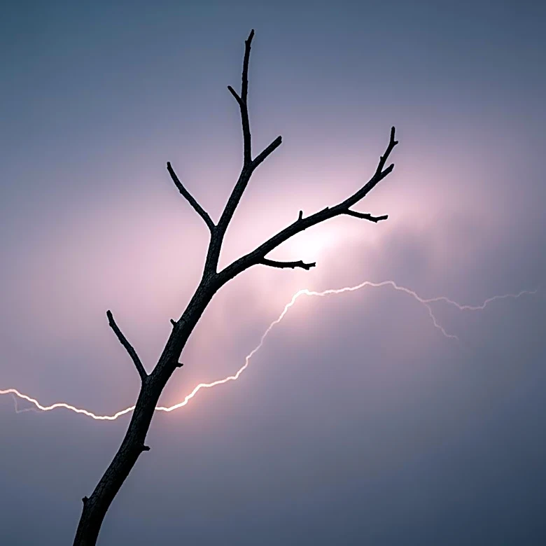 Colorado Officials Seek Public Help to Identify Lightning Strike Victim