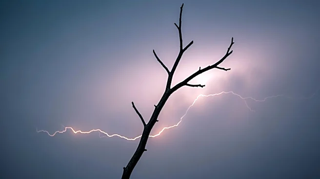 Colorado Officials Seek Public Help to Identify Lightning Strike Victim