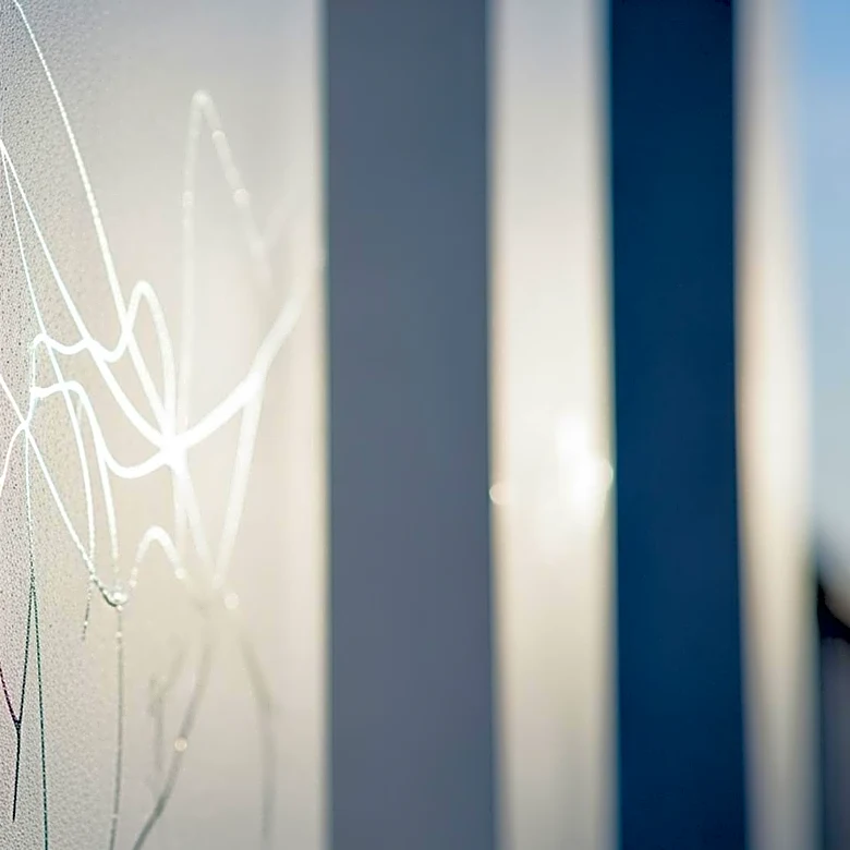 President Trump Advocates for 'Magic Paint' on White House Office Building Despite Expert Concerns