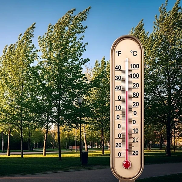 Pittsburgh Experiences Unseasonably Warm Weather with Highs Near 80 Degrees