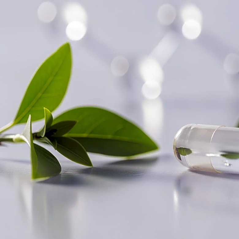 Experimental Drug Aims to Extend Lifespan of Senior Dogs