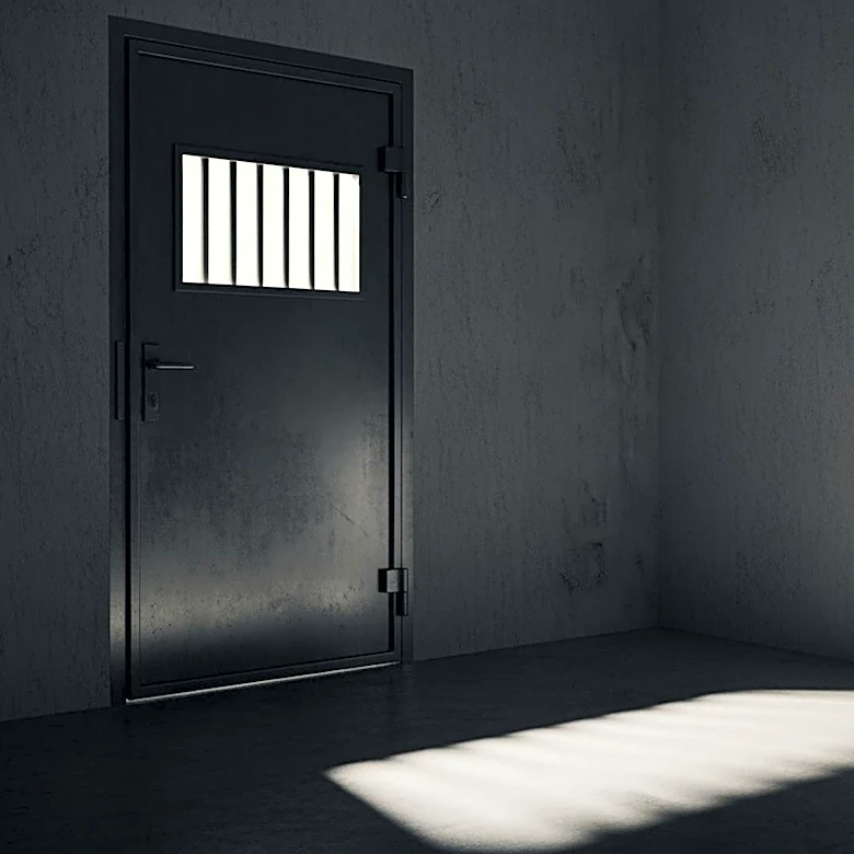 Amanda Ungaro Details Harsh Conditions in ICE Detention, Raises Concerns Over Treatment