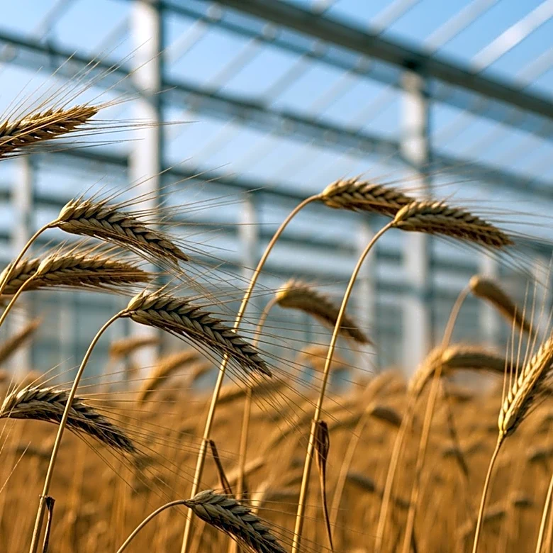 Cao Fei's Dash Exhibition Explores Agricultural Transformation at Fondazione Prada