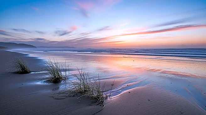 Alex Biston Reports on Southern California Weather After Wet Weekend