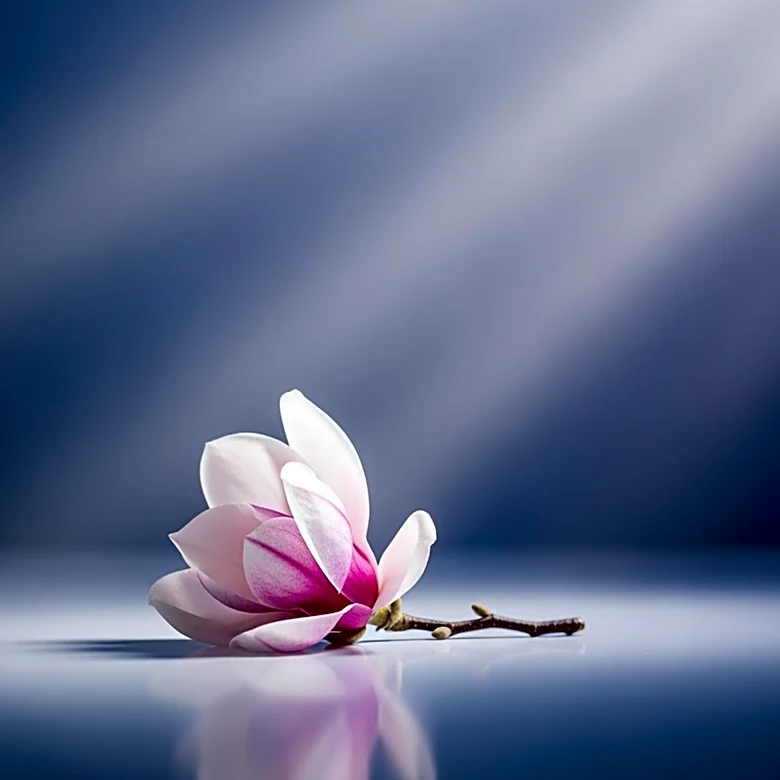 Northwestern Medicine Hosts Event to Address Black Maternal Health Disparities