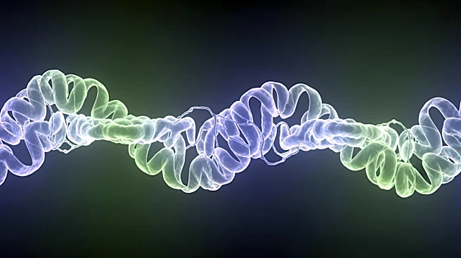 New Research Challenges Alzheimer's Plaque Theory, Suggests Protein Competition